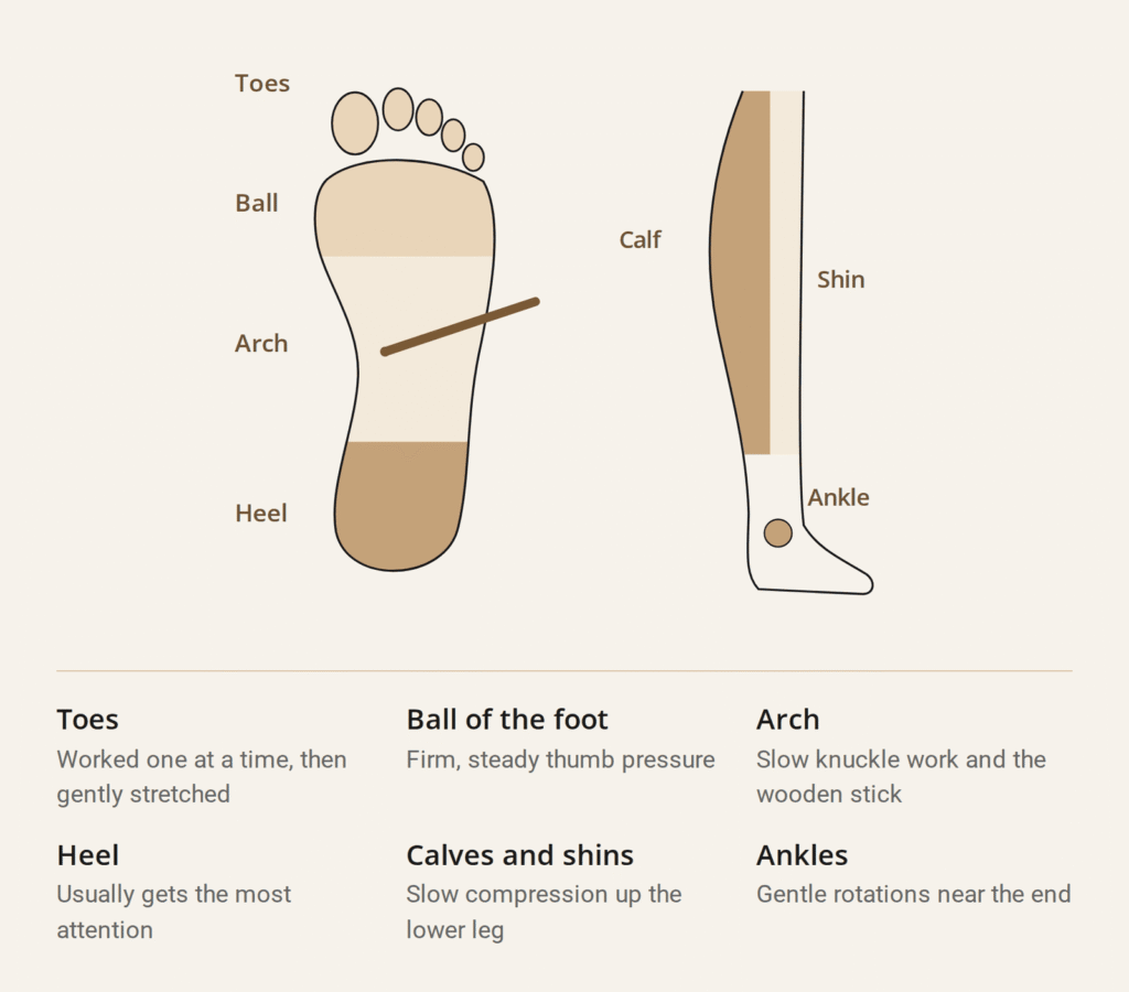 Diagram of the sole and lower leg showing the areas worked during a Thai foot massage